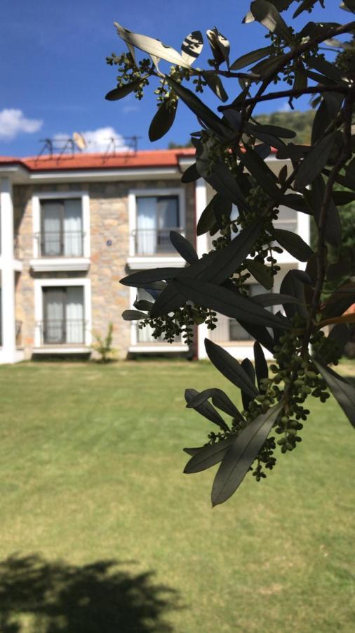 Oliva Casa Apart Hotel Datça Eksteriør billede